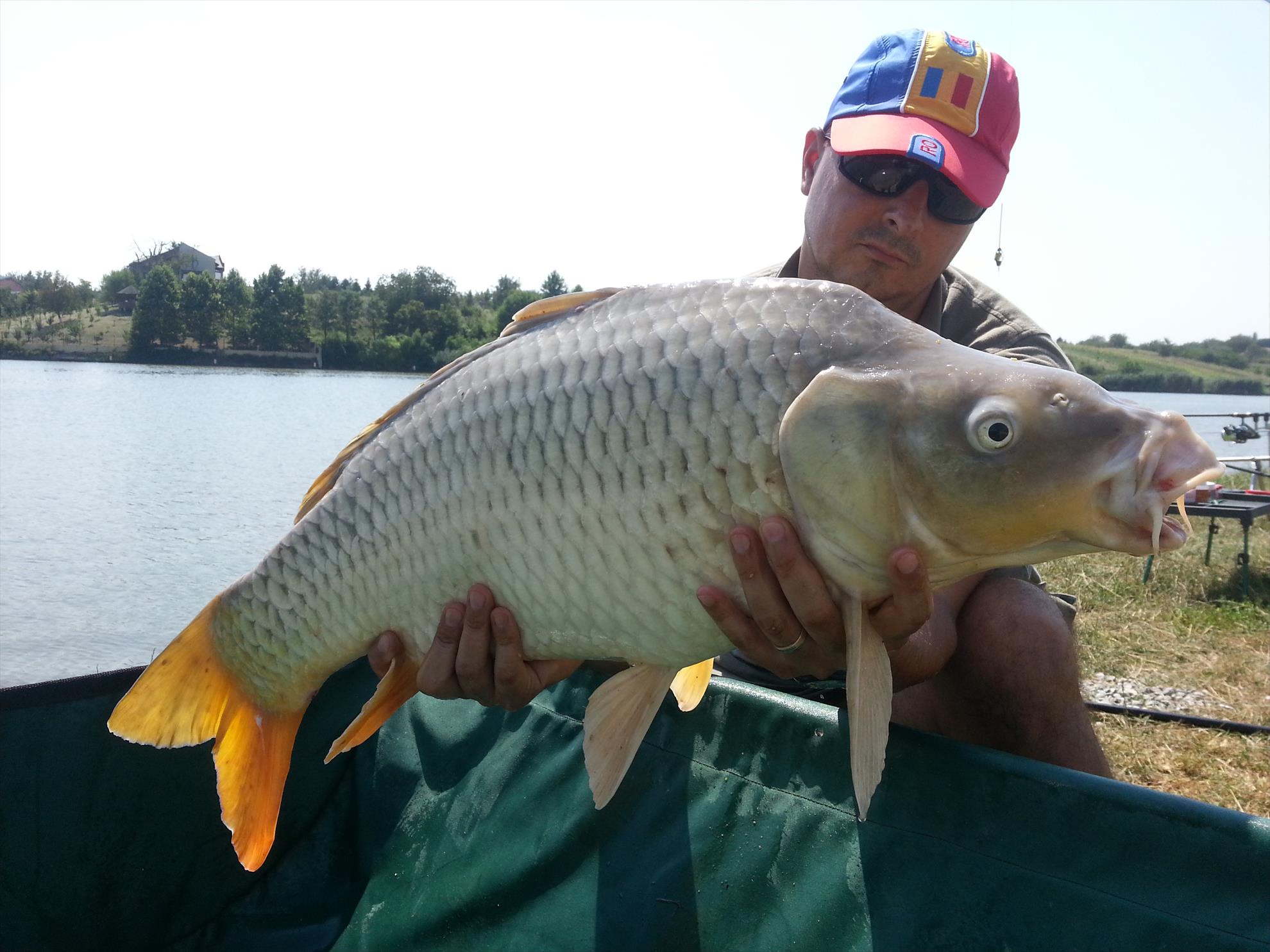 Moara Vlasiei 2 15 august 2014 - 20140815134524.jpg